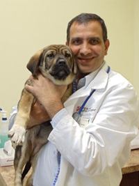 Blue Cross Animal Hospital Vet Doctor carrying dog